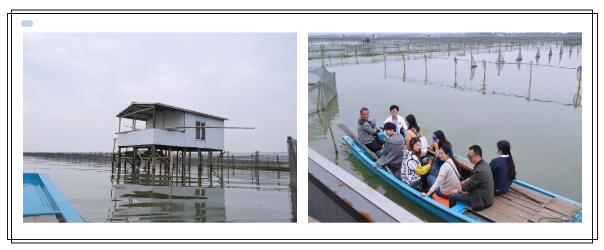 1686726688643310.jpg 2020110355340861.jpg