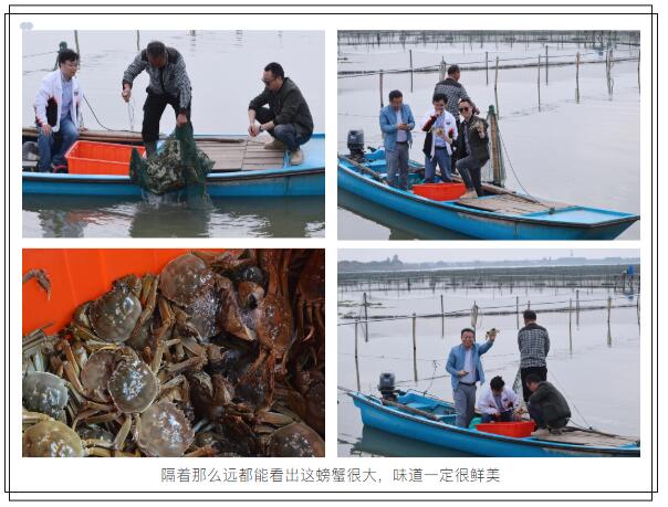 1686726697963195.jpg 2020110355380953.jpg