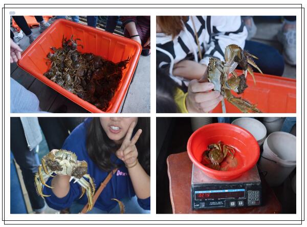 1686726704120269.jpg 2020110355418549.jpg