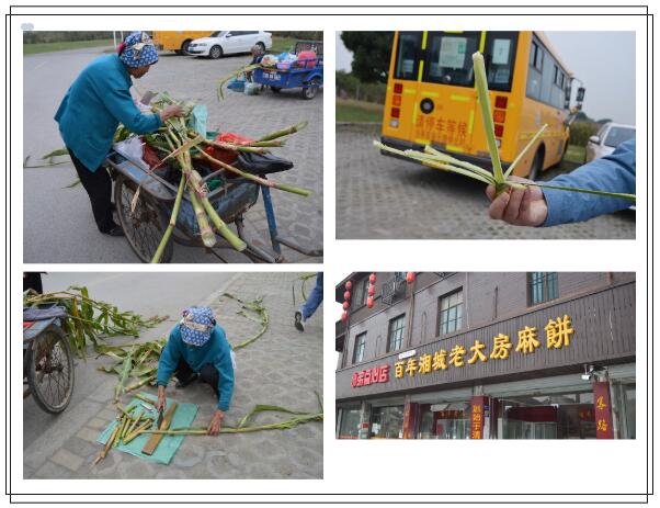 1686726756409118.jpg 2020110355672565.jpg