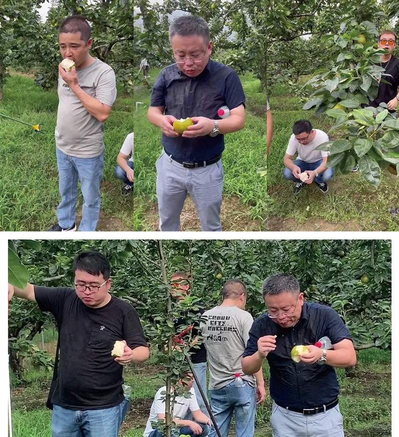 1686727682838439.jpg 2021073160508285.jpg